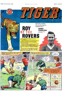 Issue #19601203