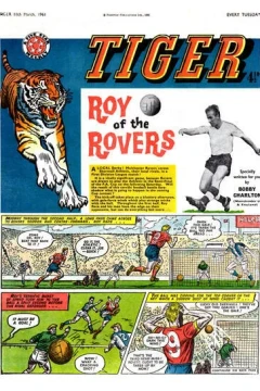 Issue #19610311