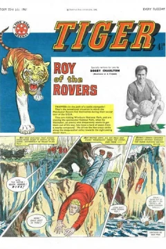 Issue #19610722