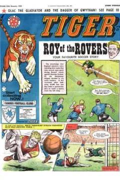 Issue #19630119
