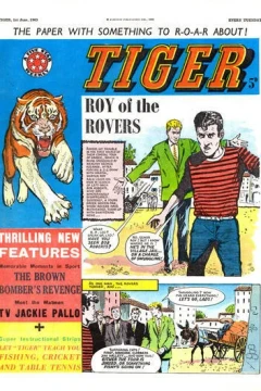 Issue #19630601