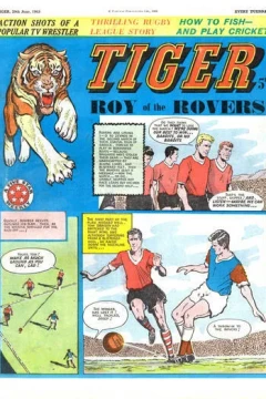 Issue #19630629
