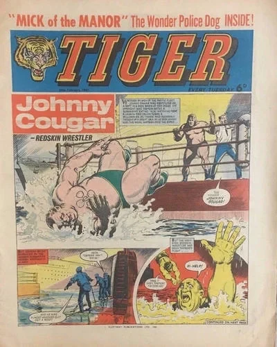 Cover of Issue #19650220