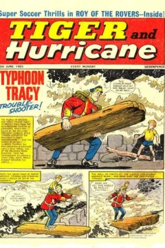 Issue #19650612