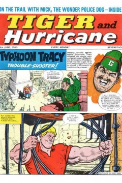 Issue #19650619