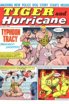 Issue #19650717