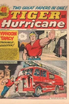 Issue #19650828
