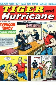 Issue #19651030