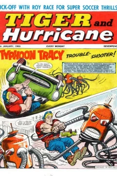 Issue #19660115