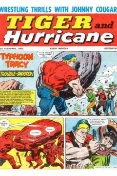 Issue #19660219