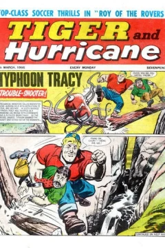 Issue #19660305