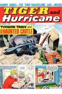 Issue #19660326