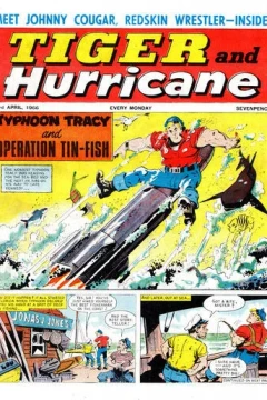 Issue #19660423