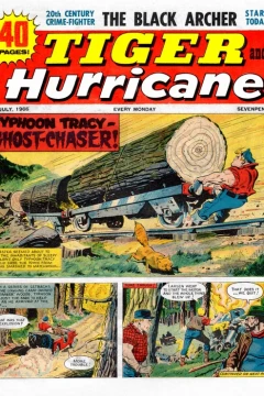 Issue #19660702