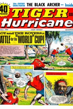 Issue #19660730