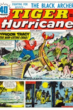Issue #19660827