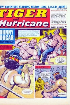 Issue #19670506