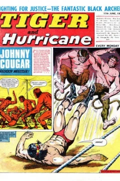 Issue #19670617
