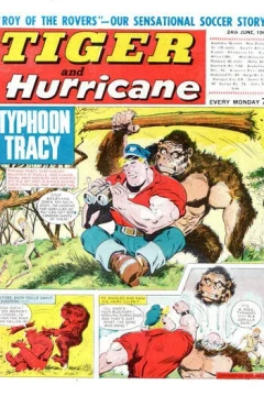 Issue #19670624