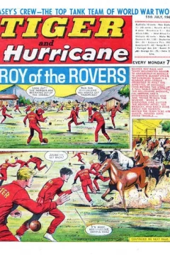 Issue #19670715