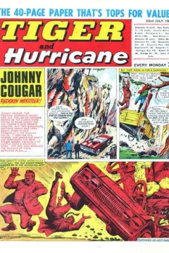Issue #19670722