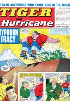 Issue #19670805