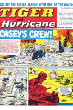 Issue #19670819