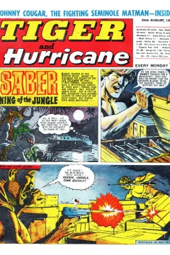 Issue #19670826