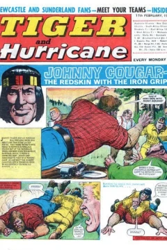 Issue #19680217