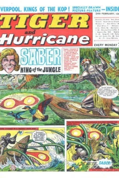 Issue #19680224