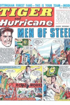 Issue #19680316