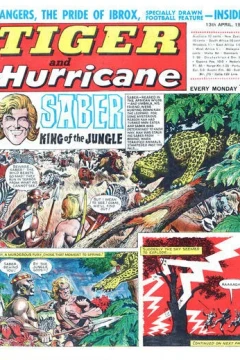 Issue #19680413