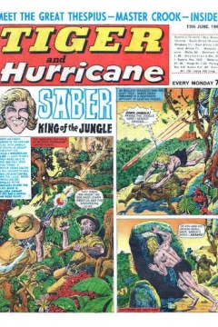Issue #19680615