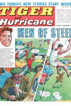 Issue #19680713