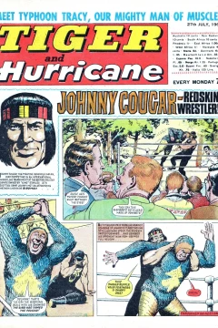 Issue #19680727