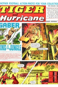 Issue #19680810