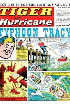 Issue #19680817