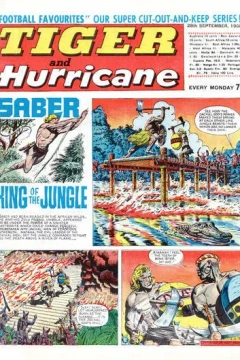 Issue #19680928