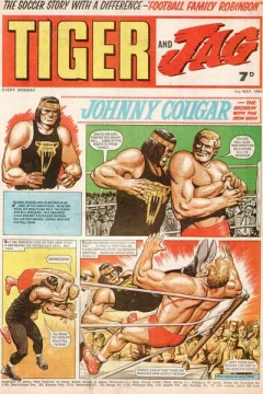 Issue #19690503