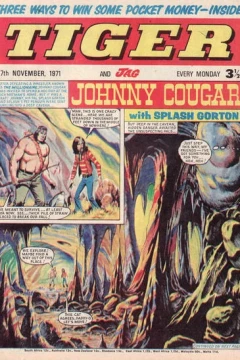 Issue #19711127