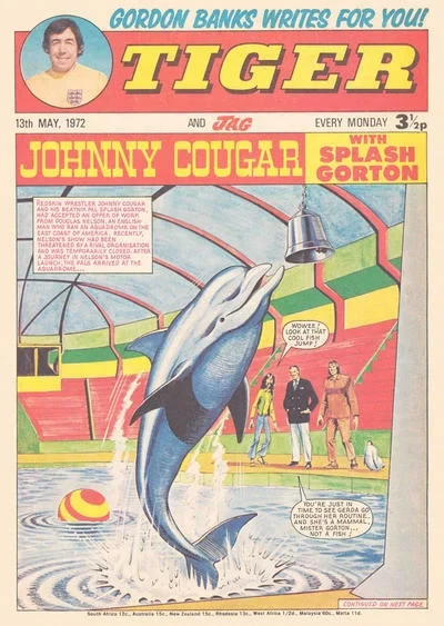 Cover of Issue #19720513
