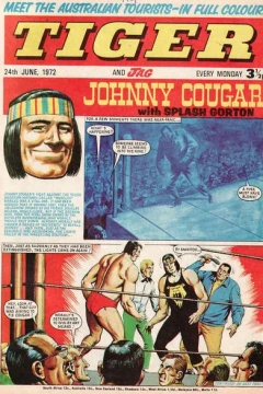 Issue #19720624