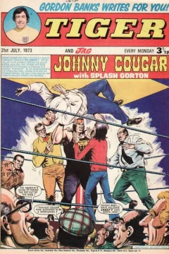Issue #19730721