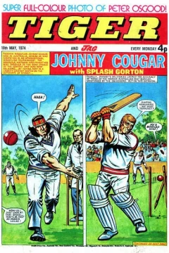 Issue #19740518