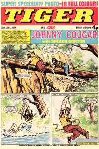Issue #19740720