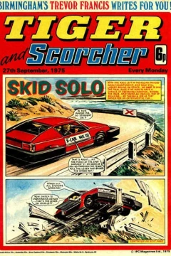 Issue #19750927
