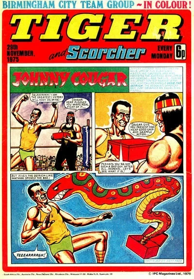 Cover of Issue #19751129