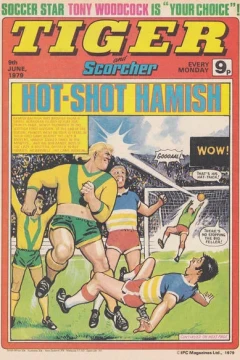 Issue #19790609