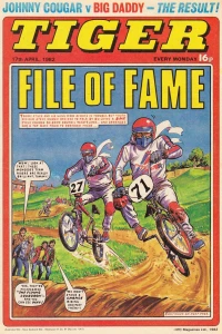 Issue #19820417