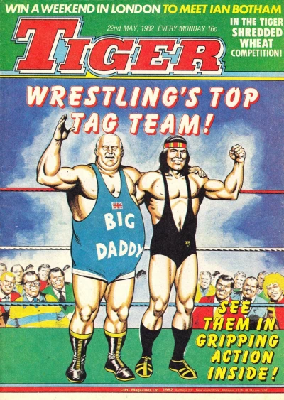 Cover of Issue #19820522